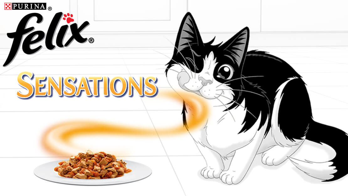Felix Sensations Cat Food Delicious Meals for Cats Purina